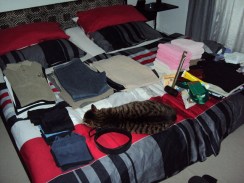 unsere Hauskatze hat keinen Platz mehr...