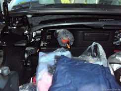 jedes Kofkissen hat seinen Platz