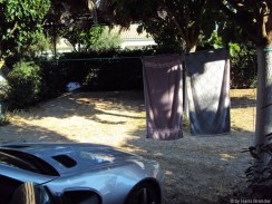 und die Wäscheleine nicht vergessen.