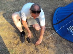 Minimum 4 Heringe ...