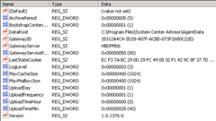 System Center Advisor: Registry-Einträge Agent