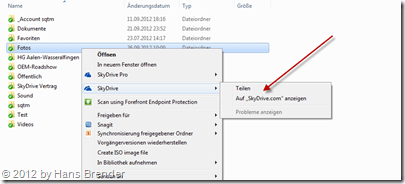 kontextbezogenes Menü für das Teilen im SkyDrive-Explorer