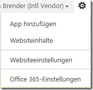 Websiteeinstellugen SkyDrive Pro