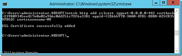 CMD: Zertifikat an WebServer binden