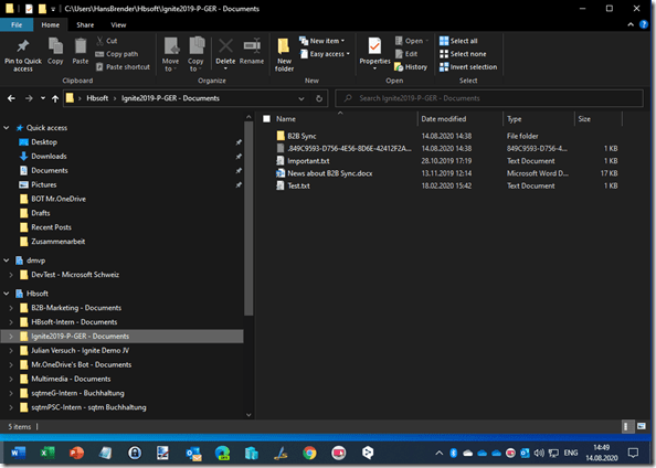 Viw to the  synched Library in the file explorer (Hospital view)