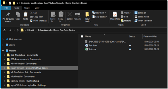 Windows File Explorer after sync
