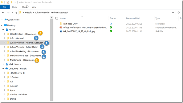 different display in Windows File Explorer