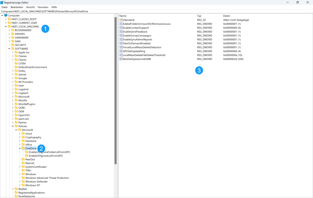 Ansicht des Zweiges in der Registry, welcher die Geräte Gruppenrichtlinien für OneDrive aufzeigen